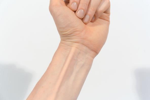 shutterstock_2327135087.jpg