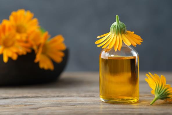 shutterstock_2185189117.jpg