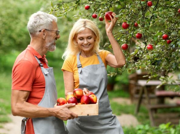 shutterstock_2504817687.jpg