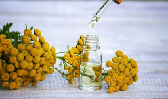 shutterstock_2269354127.jpg