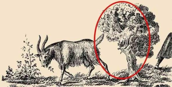 hidden-images-optical-illusions-with-answers.jpg