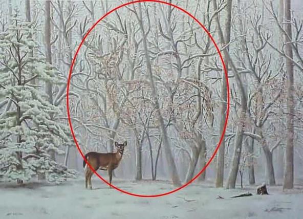 hidden-optical-illusions-with-answers (1).jpg