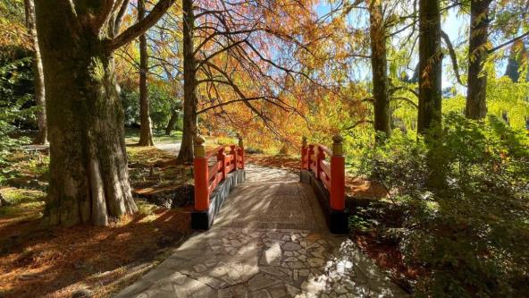 Crveni most preko reke u šumi