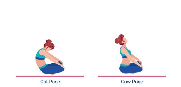 Žena radi sedeću mačku-kravu