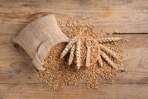 Vreća pšenice