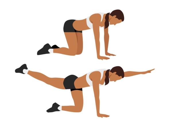 Vežbe za ravan stomak Bird dog