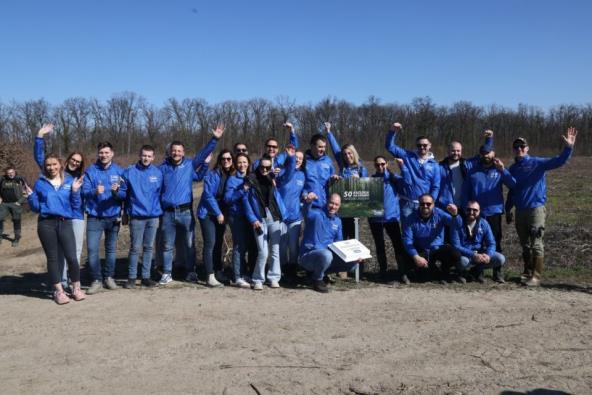 Zasadi drvo Petar Aleksić.jpg