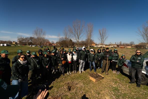 260309_Zasadi drvo PRINT-01723.jpg