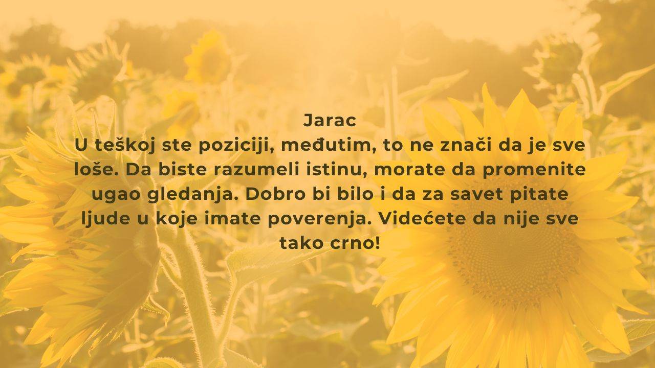 dnevni za 31 avgust (9).jpg