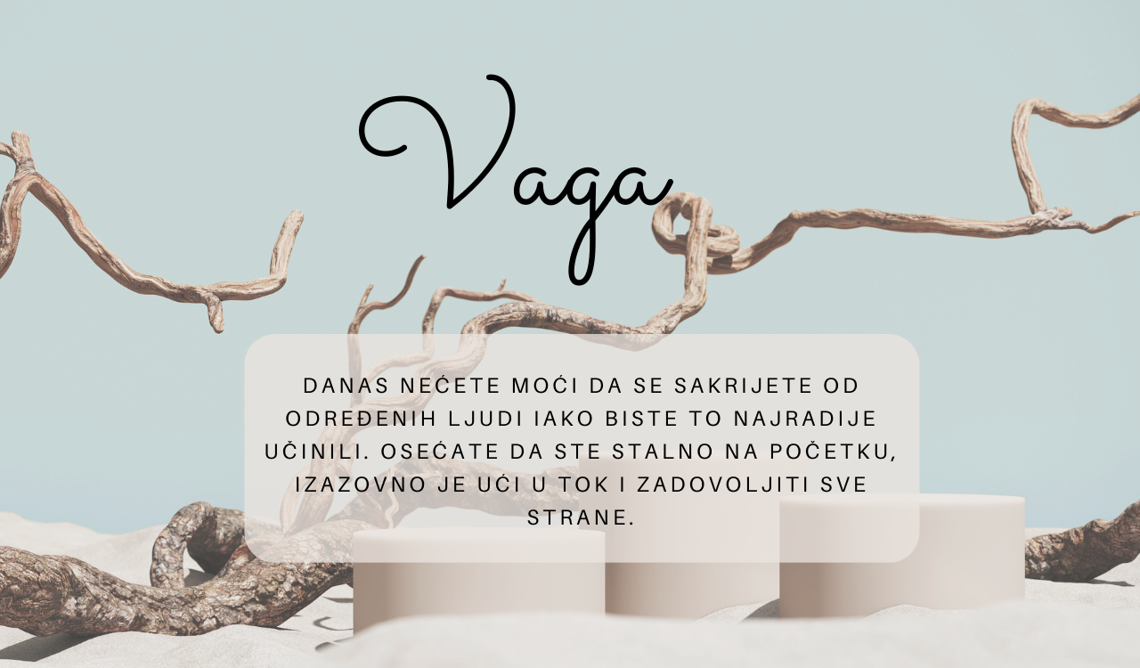 Vaga