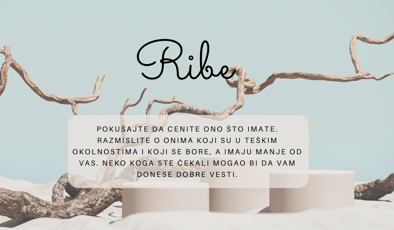 Ribe