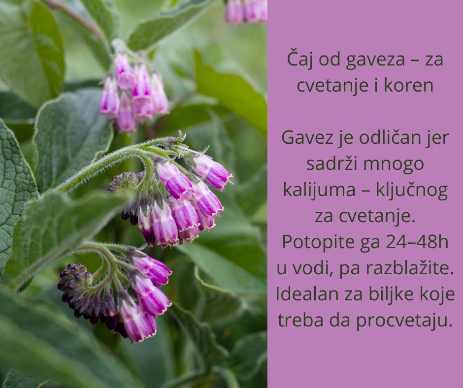 caj za djubrenje cveca (4).jpg