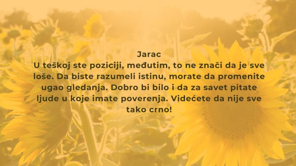 dnevni za 31 avgust (9).jpg