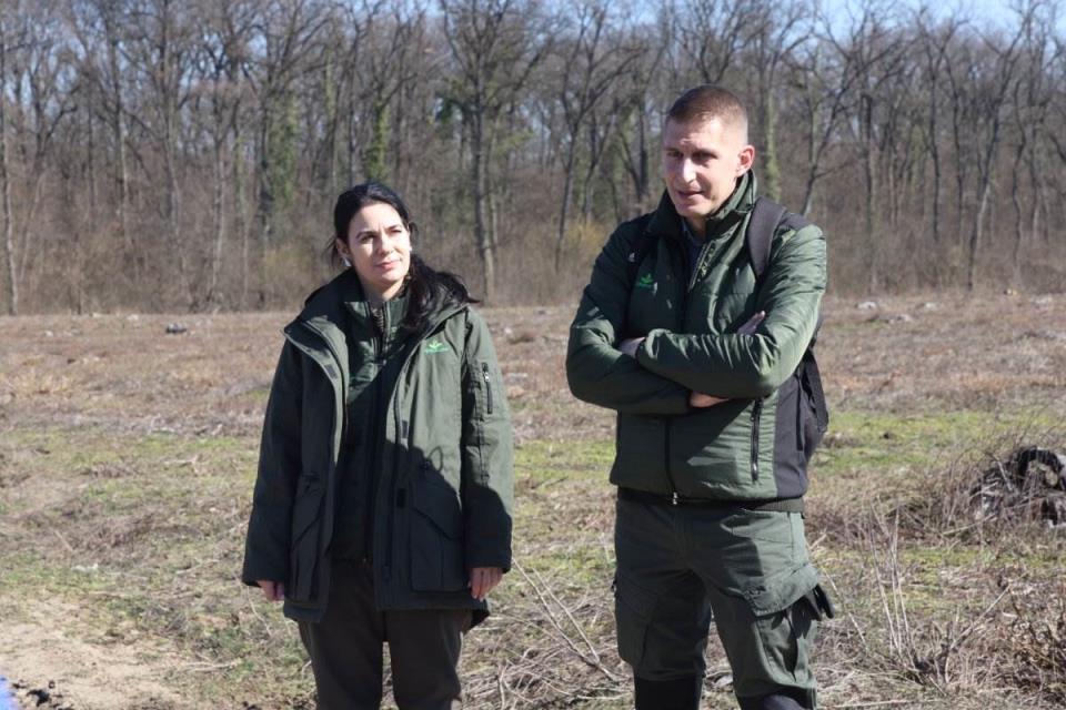 Zasadi drvo Petar Aleksić 4.jpg