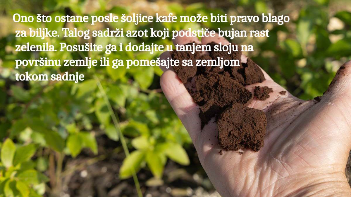 talog od kafe copy.jpg