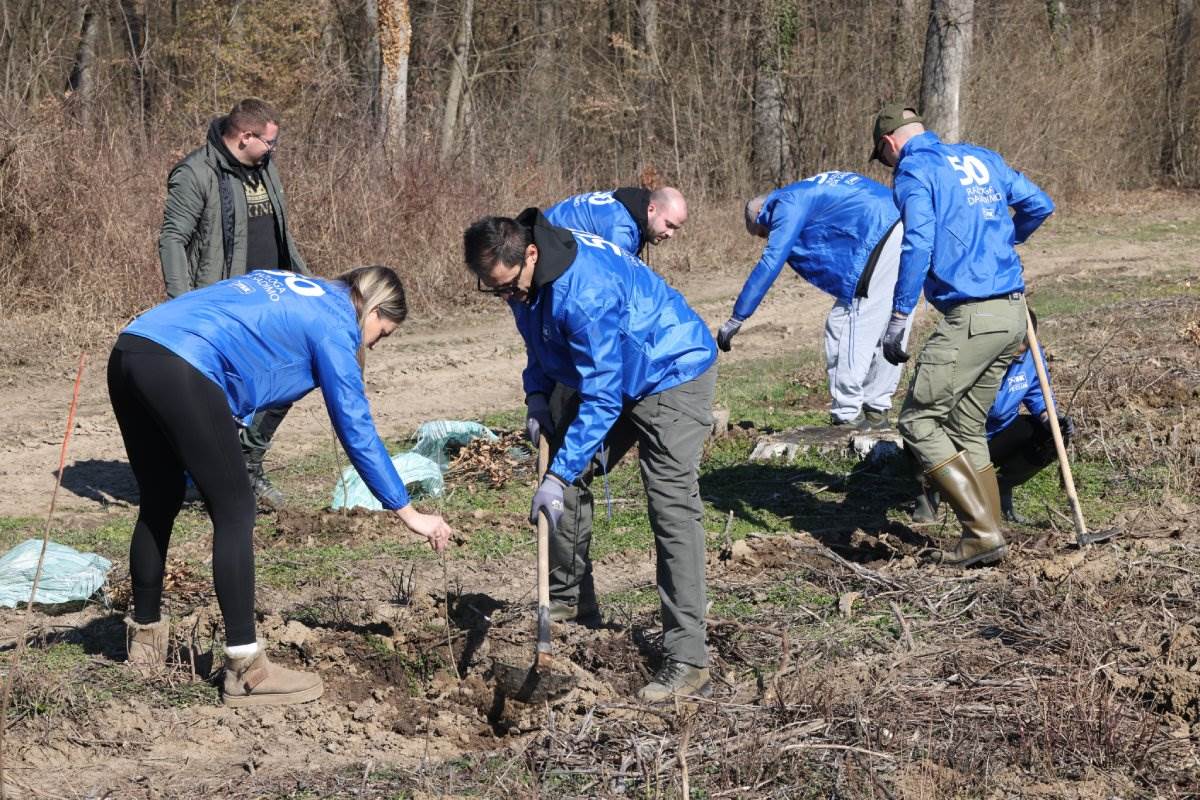 Zasadi drvo Petar Aleksić 8.jpg