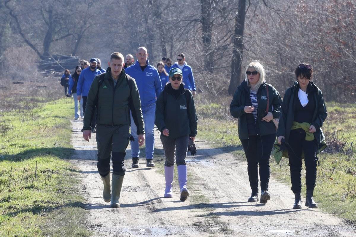 Zasadi drvo Petar Aleksić 7.jpg