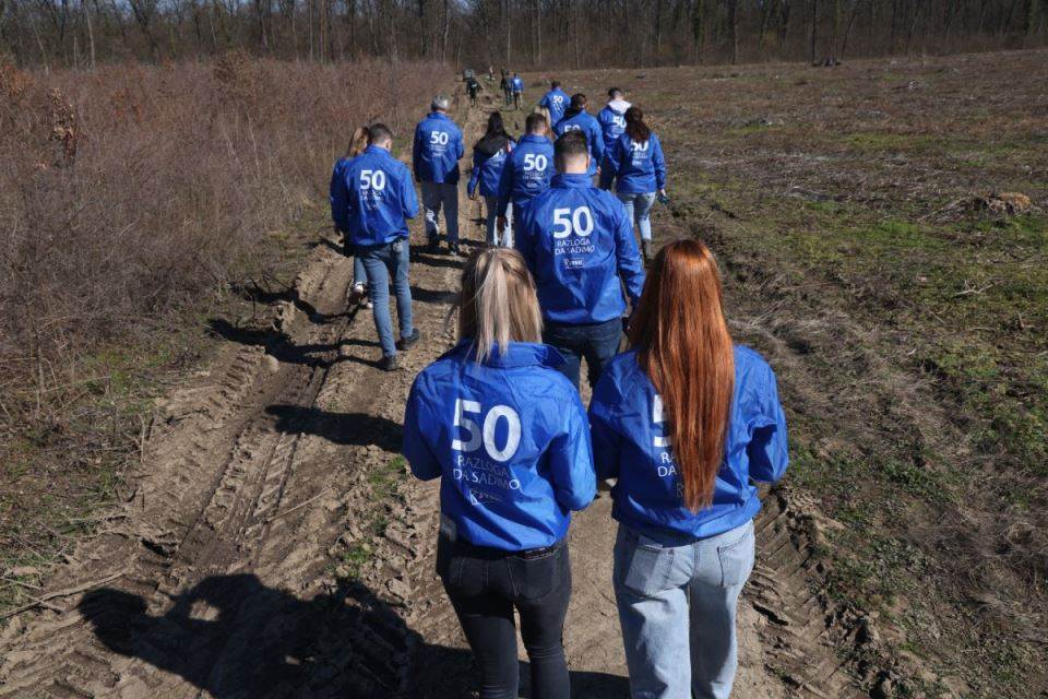 Zasadi drvo  Petar Aleksić 3.jpg