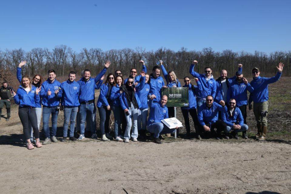 Zasadi drvo Petar Aleksić.jpg