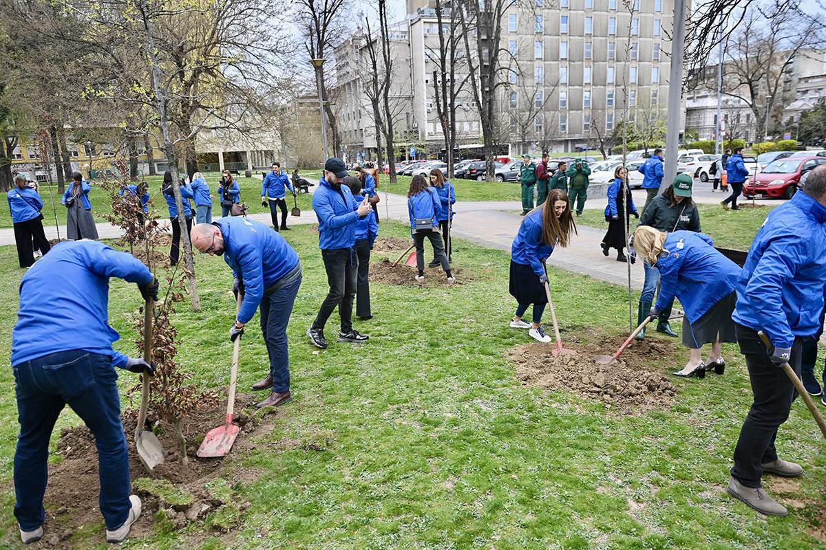 Zasadi drvo WMG i AHK obeležili jubilej sadnjom u Beogradu