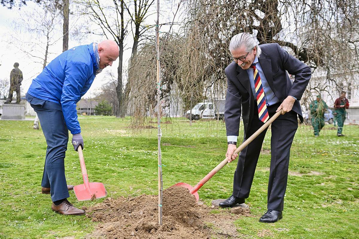 Zasadi drvo WMG i AHK obeležili jubilej sadnjom u Beogradu